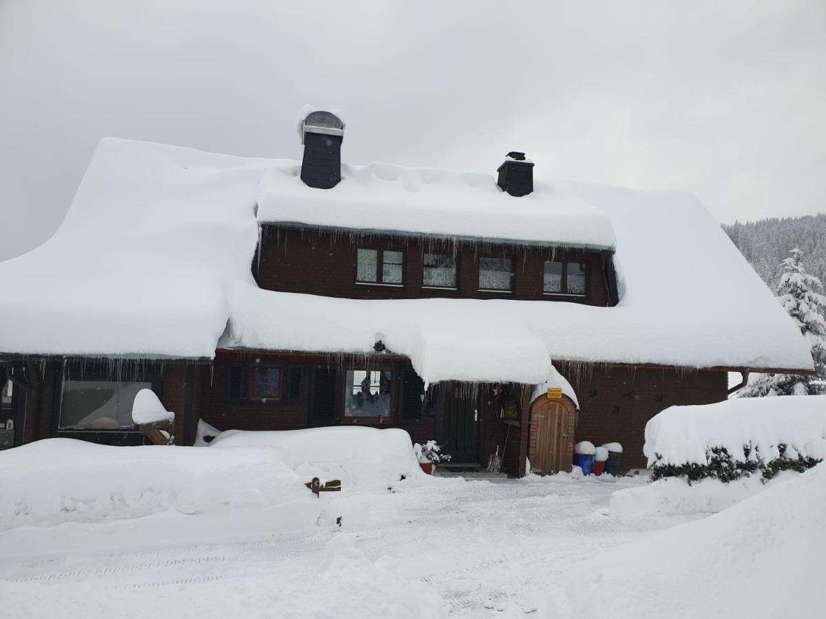Am Sommerberg - Greschuk Apartments Feldberg  Dış mekan fotoğraf