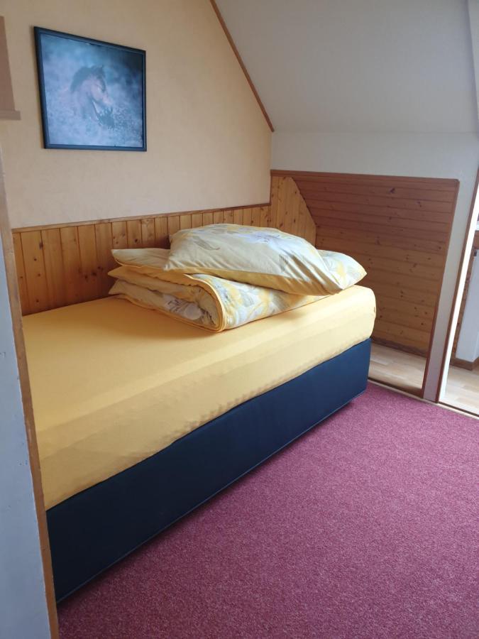 Am Sommerberg - Greschuk Apartments Feldberg  Dış mekan fotoğraf