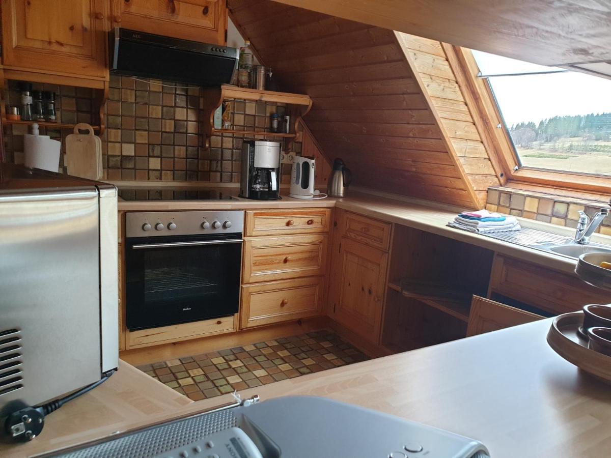 Am Sommerberg - Greschuk Apartments Feldberg  Dış mekan fotoğraf