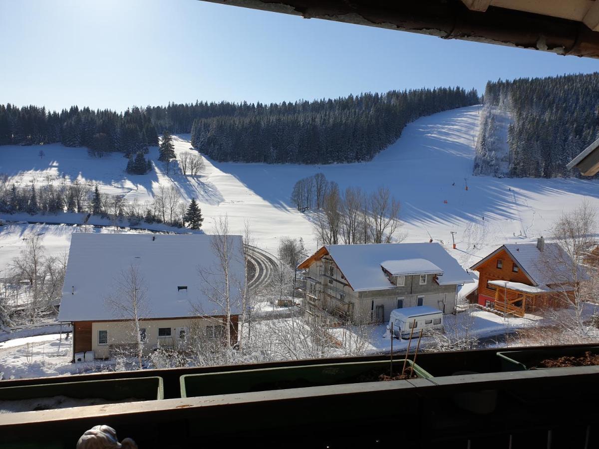 Am Sommerberg - Greschuk Apartments Feldberg  Dış mekan fotoğraf