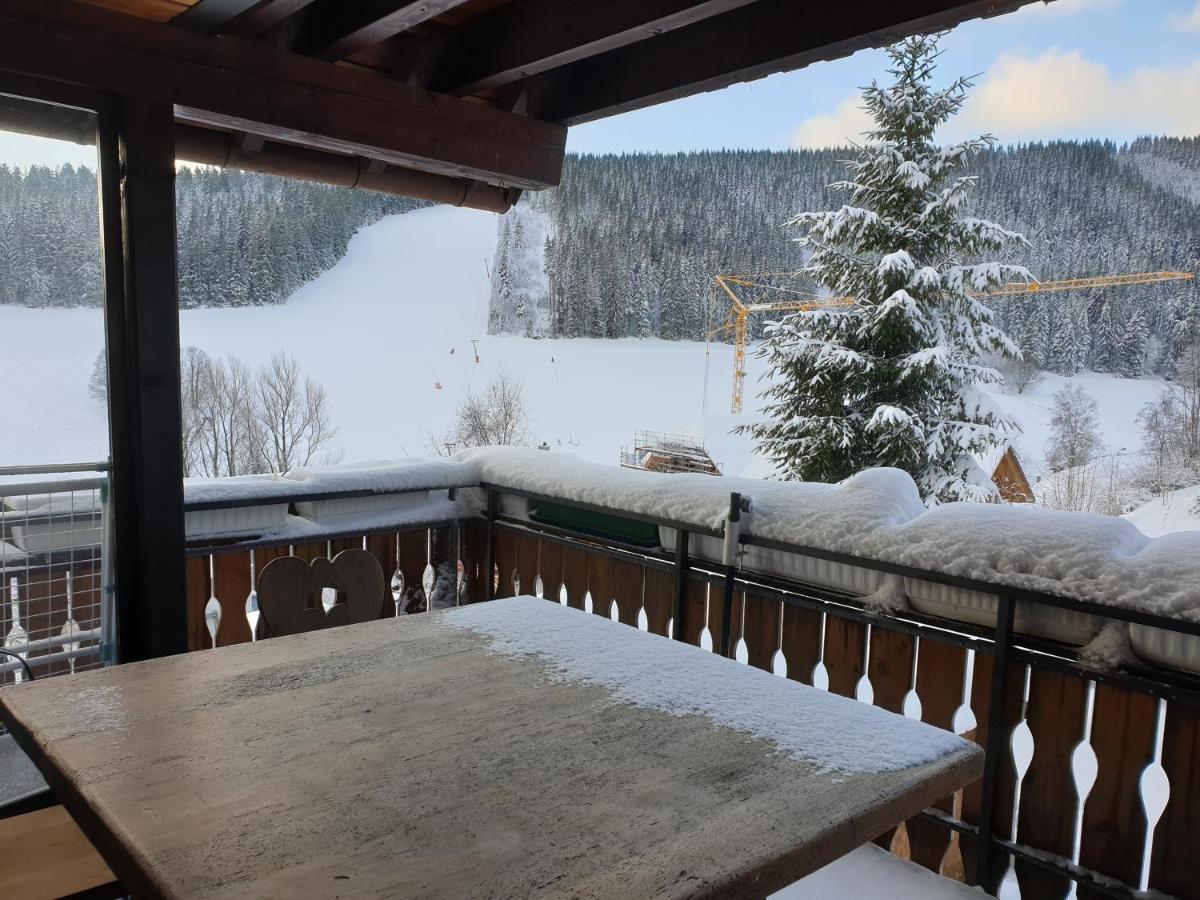 Am Sommerberg - Greschuk Apartments Feldberg  Dış mekan fotoğraf