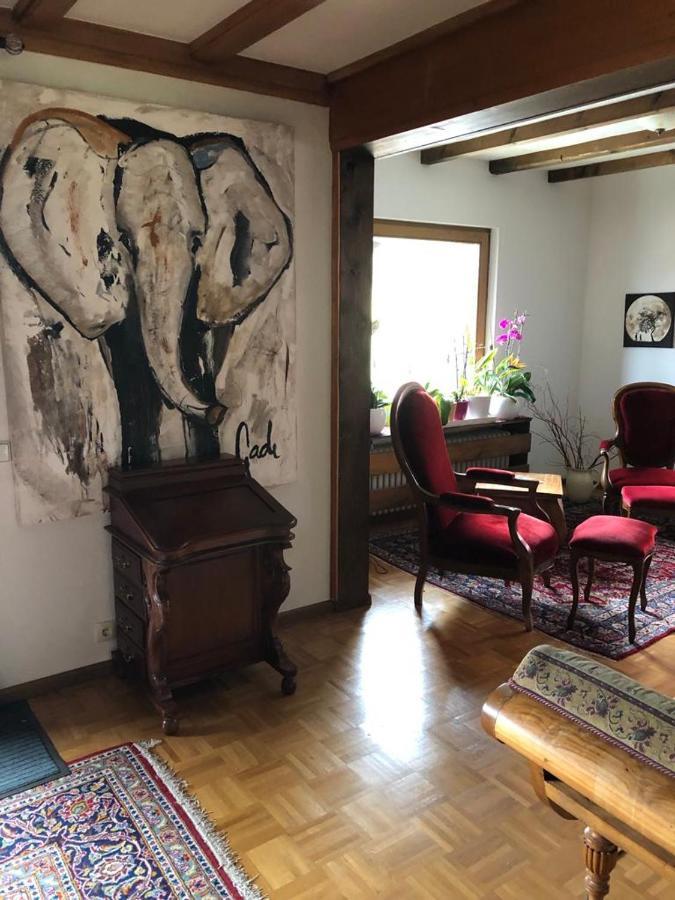 Am Sommerberg - Greschuk Apartments Feldberg  Dış mekan fotoğraf