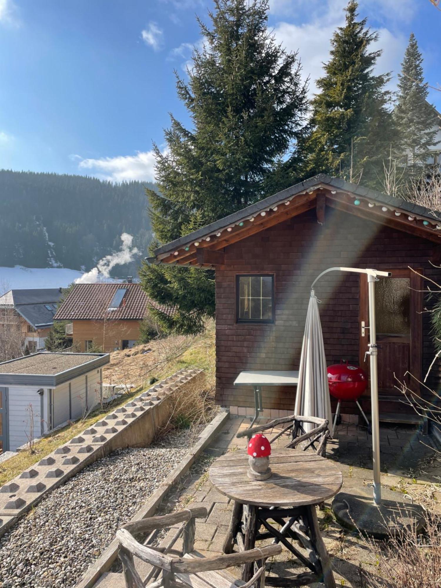 Am Sommerberg - Greschuk Apartments Feldberg  Dış mekan fotoğraf